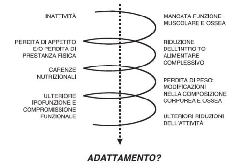 Interazione tra inattività e iponutrizione nell’anziano.