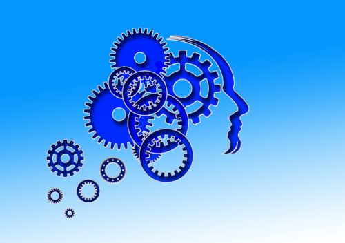 head-607480_1920 Training cognitivo e demenza di Alzheimer: il ruolo della riserva cognitiva