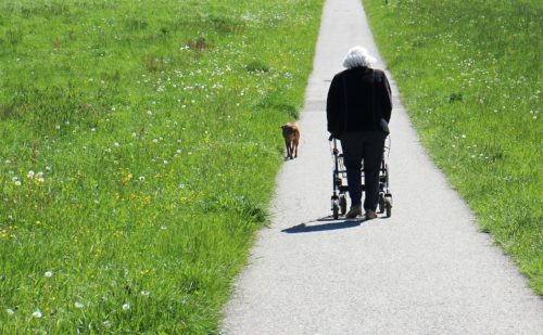 human-339509_1920 Il fisioterapista e il paziente anziano: prevenzione, riabilitazione, educazione e continuità