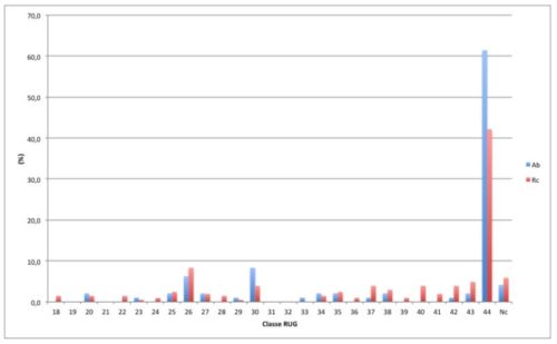 Distribuzione per classe RUG III di 300 residenti nelle strutture censite nel Progetto Abitare Leggero. NB: sono state riportate solo le classi RUG rappresentate nel campione. Legenda: Ab: soluzioni abitative per la vita indipendente. Rc: residenze comunitarie per la vita assistita. Nc: Non classificabili