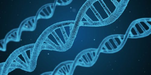 dna-1811955_1920 Neuroprotezione