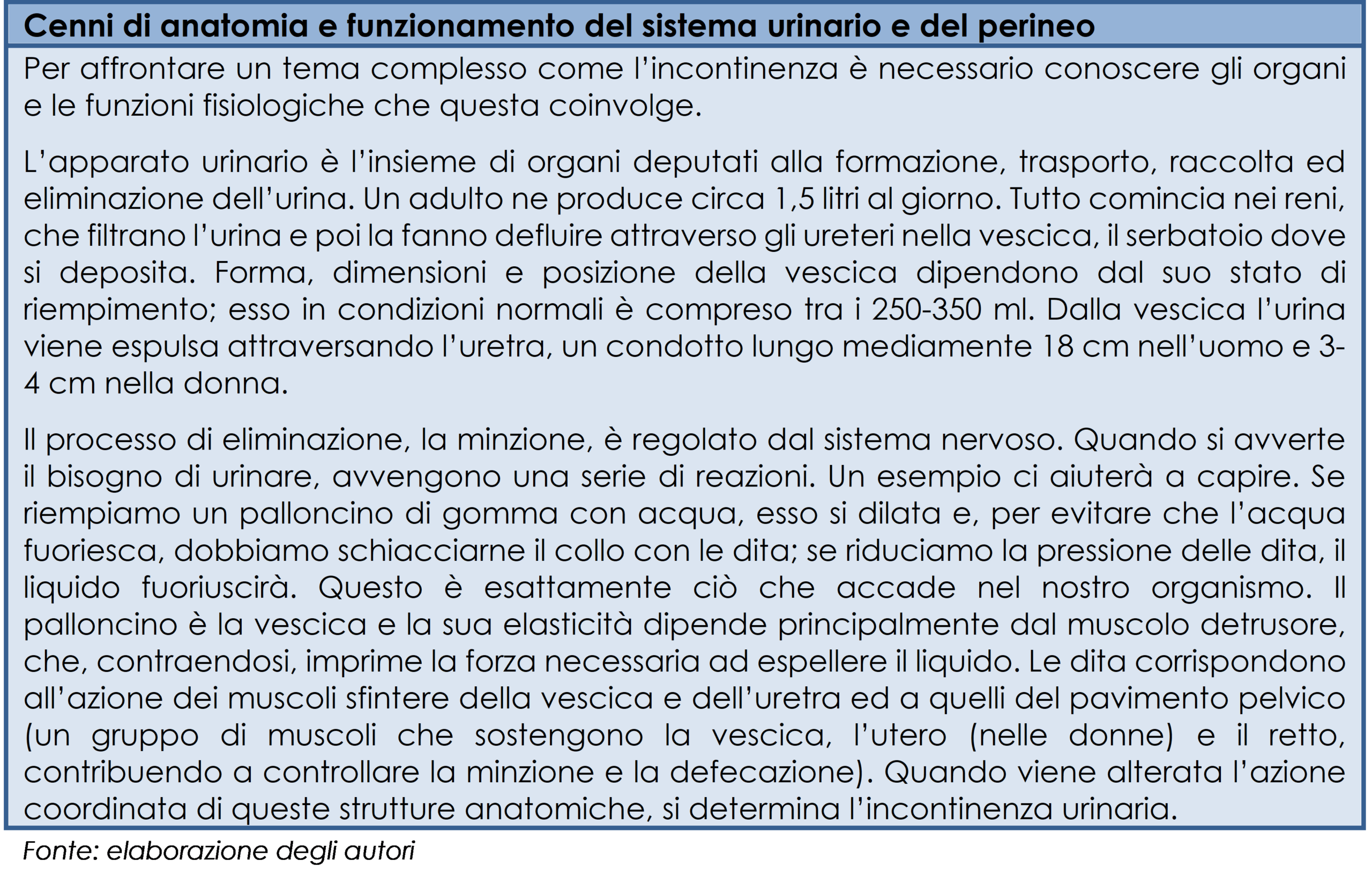 Il sistema urinario: cenni descrittivi di funzionamento
