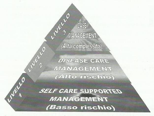 Modello per la gestione del paziente nella long term care: The Kaiser Permanent Triangle