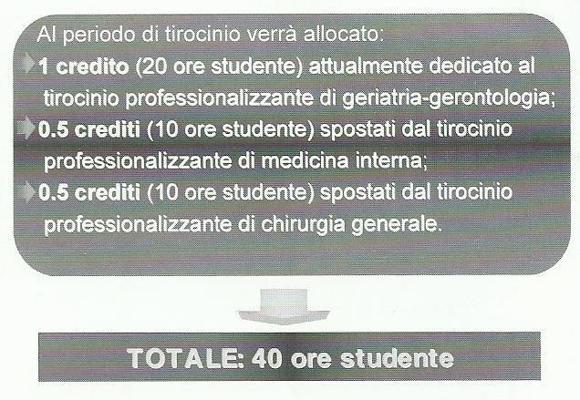 Percorso didattico