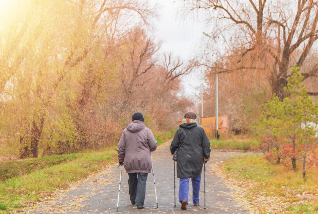 Two Retired Women Dressed In Jackets Are Engaged In Nordic Walking In An Autumn Park In The Middle Of The Trees. Rear View, The Concept Of Sports In Old Age