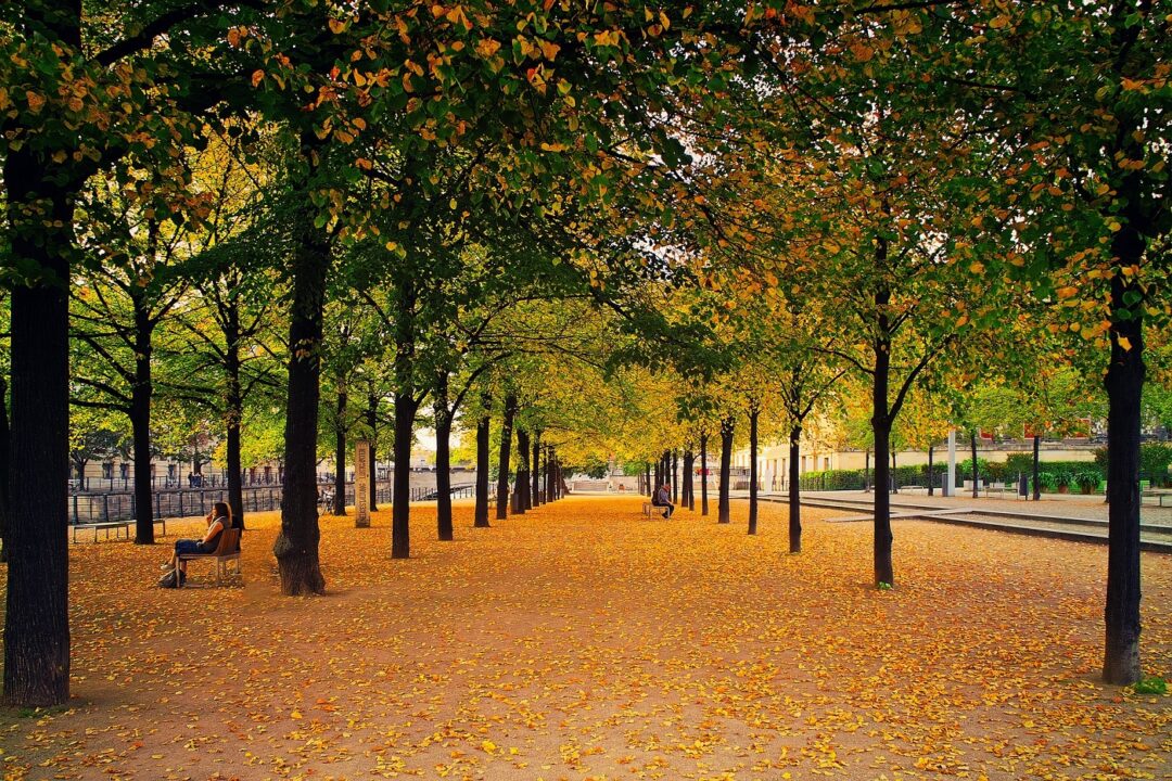 Avenue 3670434 1920