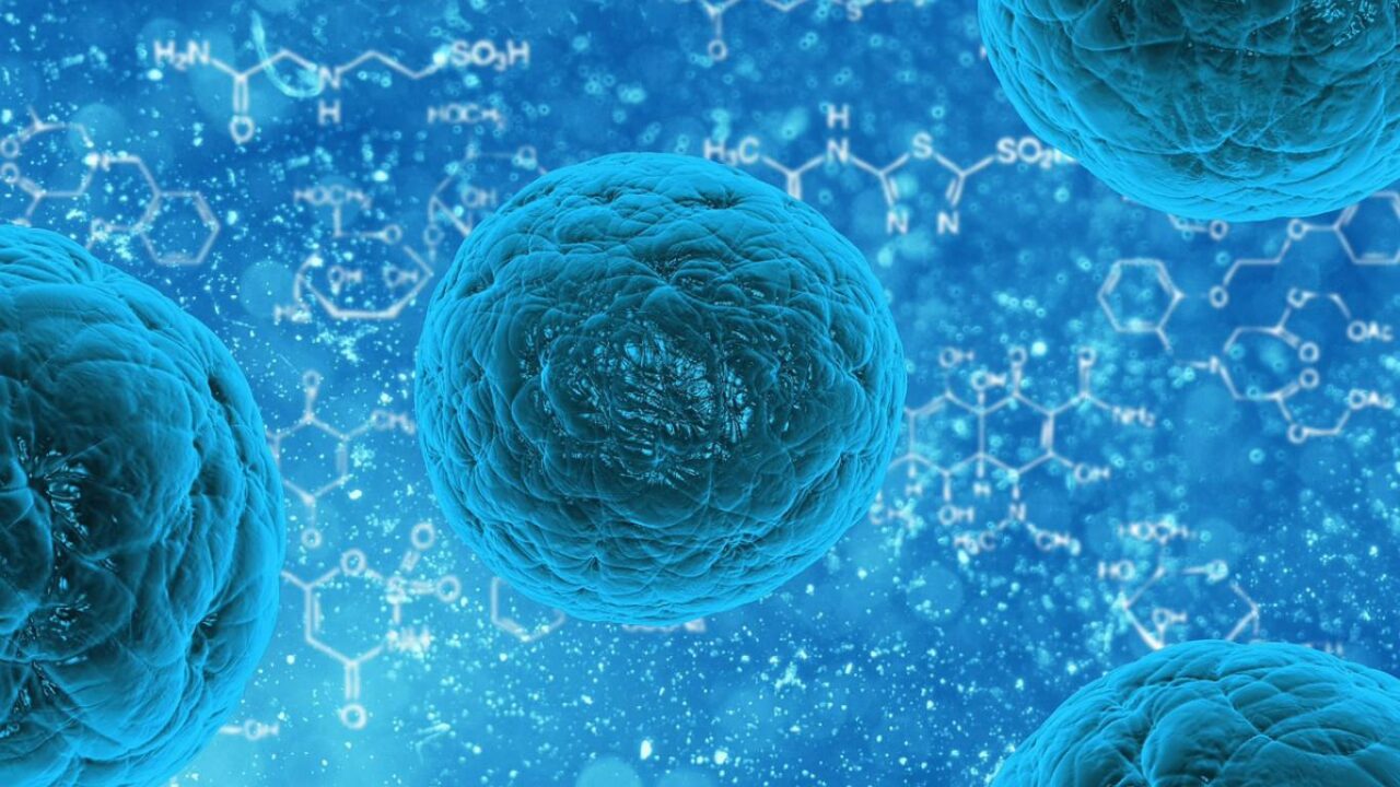 Bacteria 163711 1280