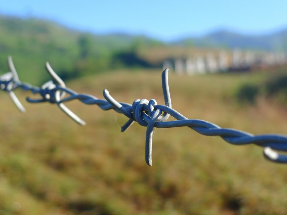 Barbed Wire 114500 1920