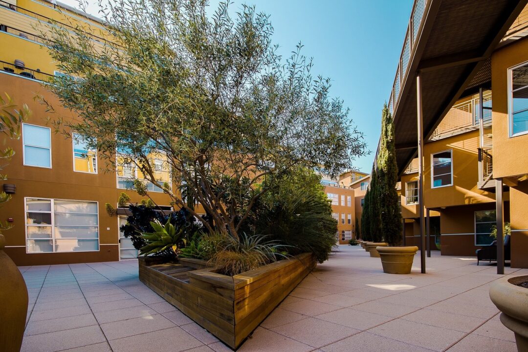 Court Yard 641155 1920
