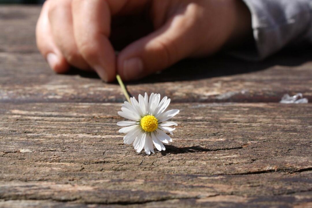 Daisy 75190 1920