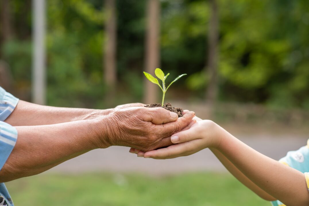 elderly-person-and-children-holding-plant-scaled