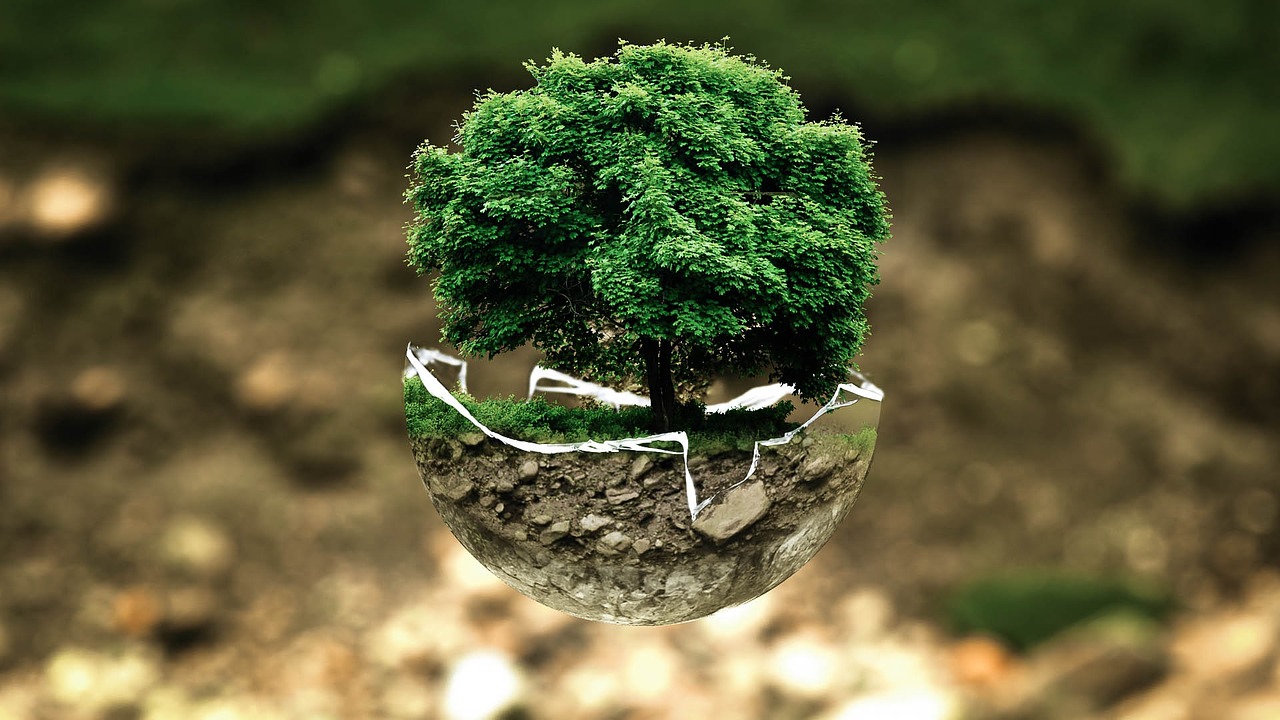Environmental Protection 683437 1280