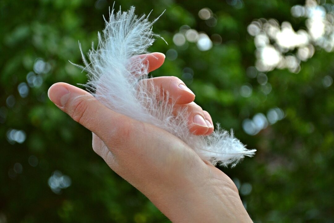Feather 1078424 1920