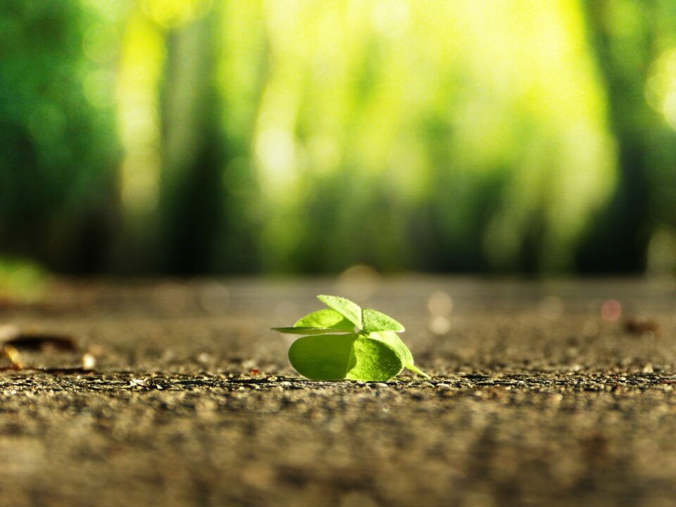 Four Leaf Clover 3336774 1920