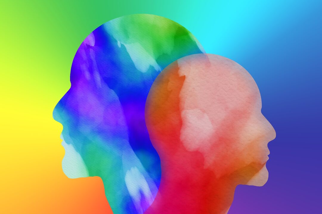 Head 3001166 1920