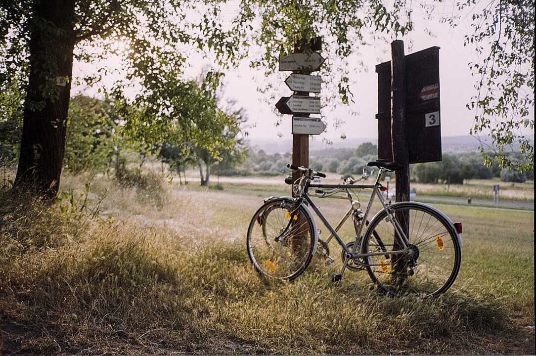 Meadow 2514278 1920