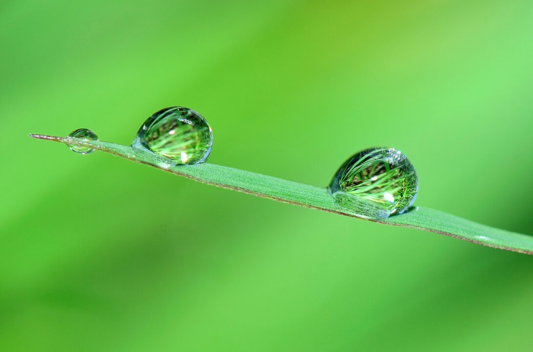 Nature 2986145 1920