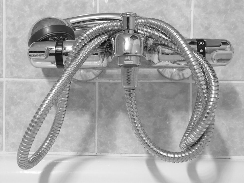 Shower Head 49645 1920