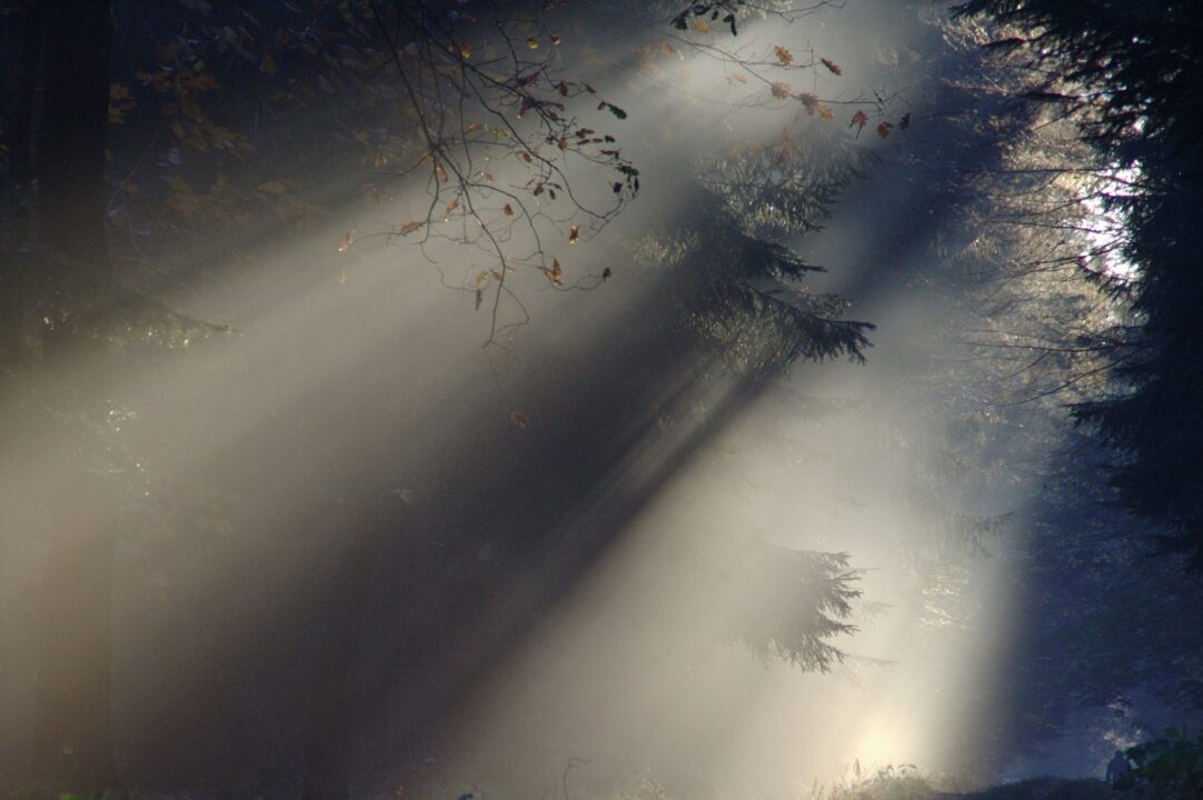 Sunbeam 76825 1920