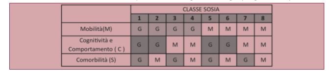 Distribuzione delle classi SOSIA in base alle possibili combinazioni degli indicatori di fragilità (G = grave; M = lieve)