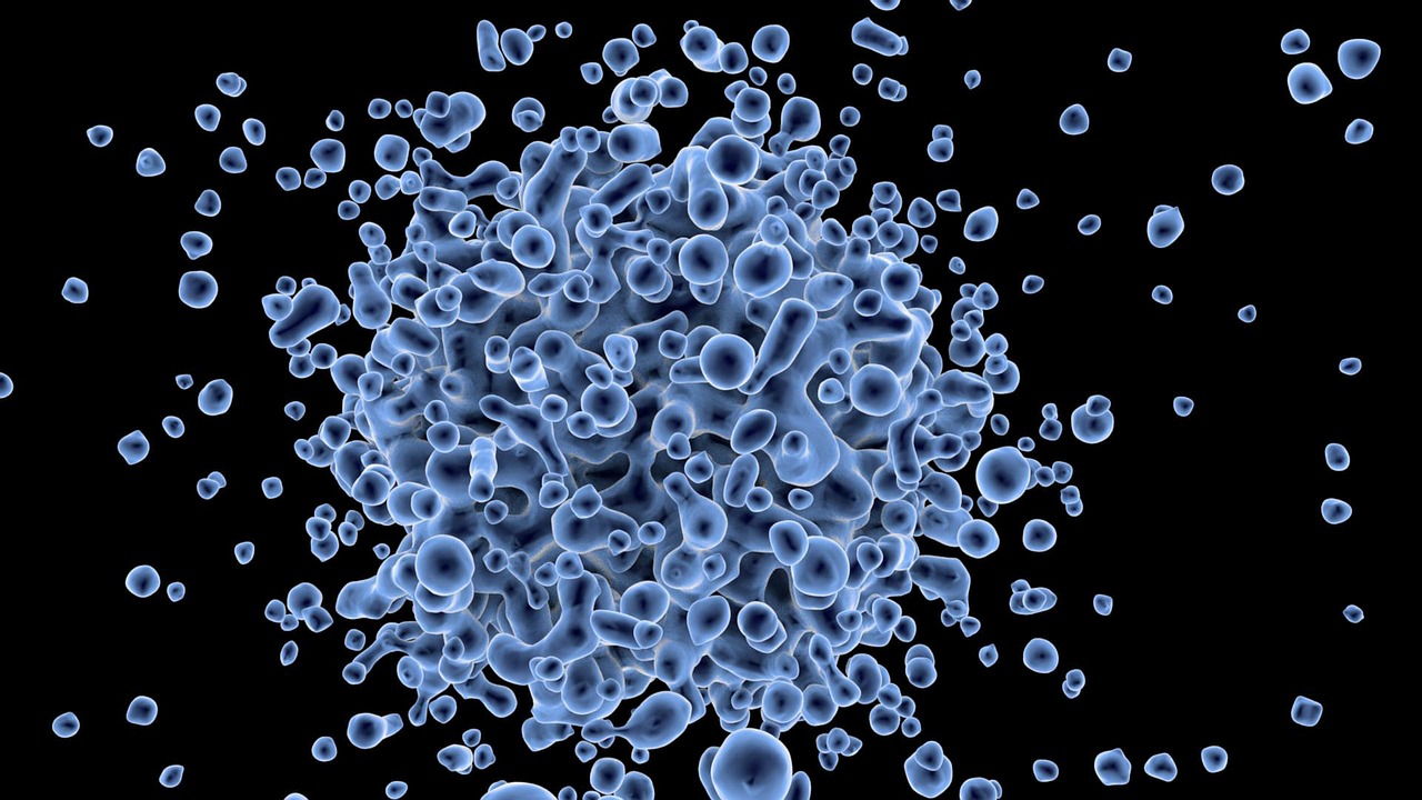 Virus 163471 1280