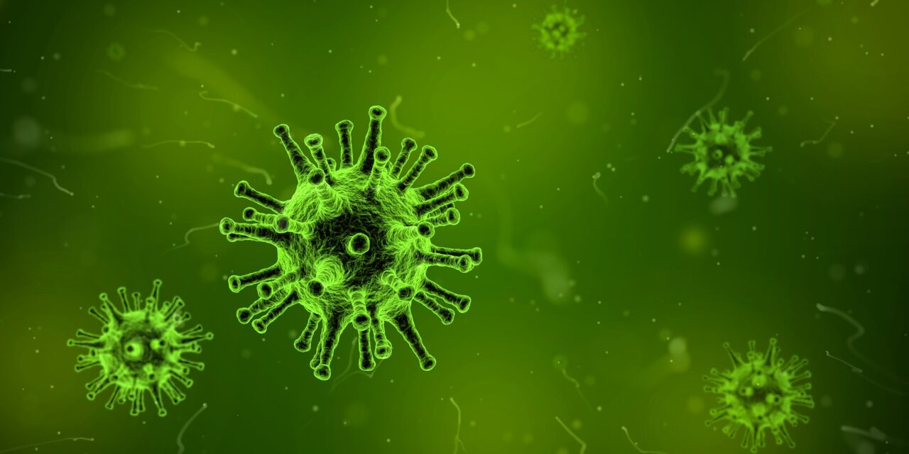 Virus 1812092 1920