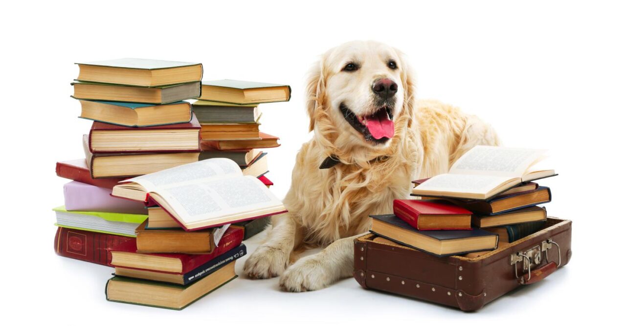 Dalla pet therapy agli interventi assistiti con animali, fra storia, normativa e letteratura